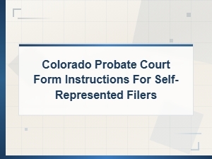 Probate Court Form Instructions for Self-Represented Filers